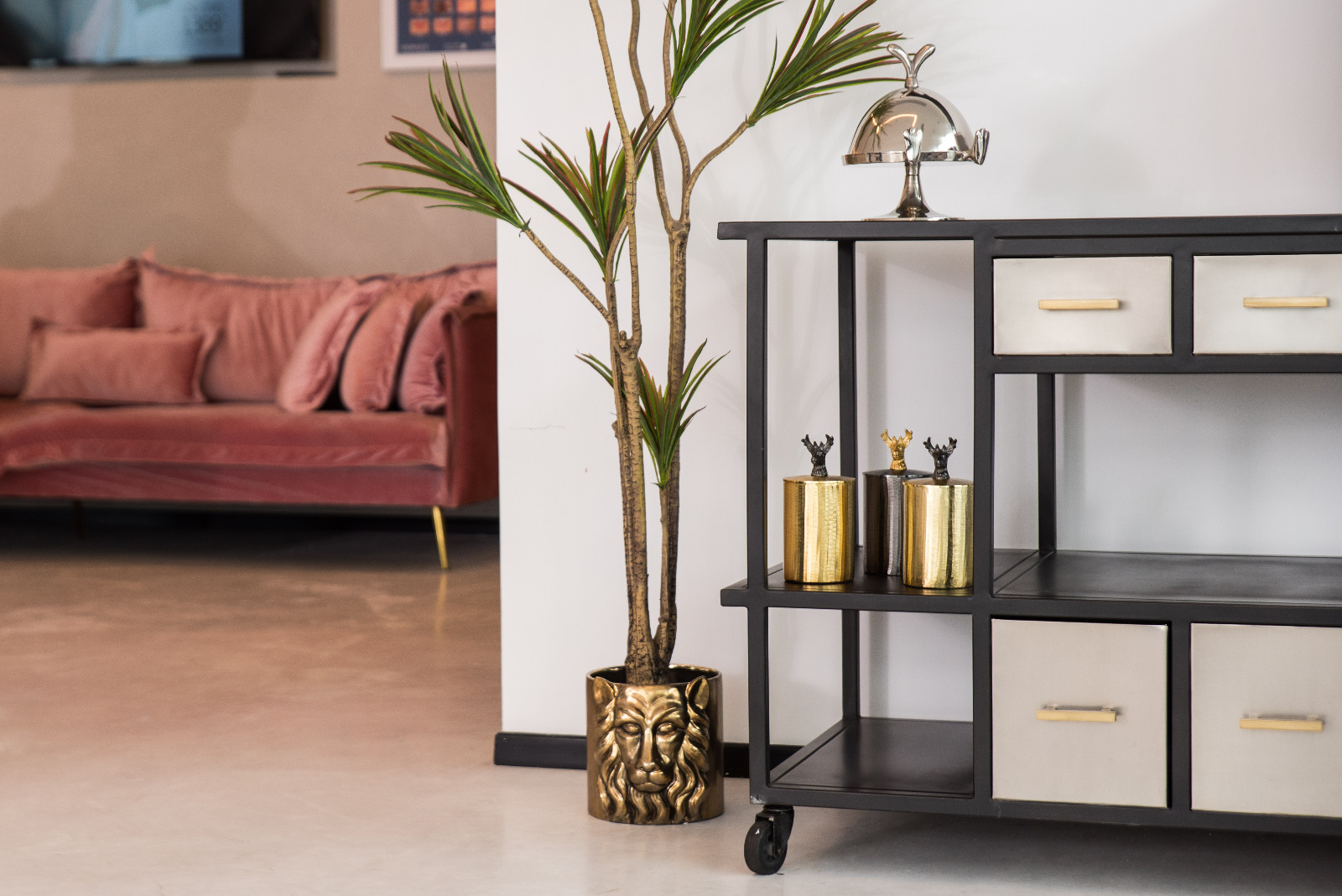 WhatsApp Image 2025-10-03 at 19.39.36(2)